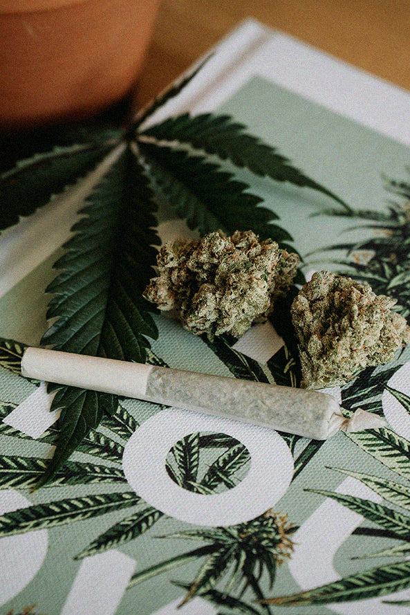 4-tips für selbstgedrehte Joint - 4 Tips für vorgedrehte Cones - Jointhüllen - Zubehör