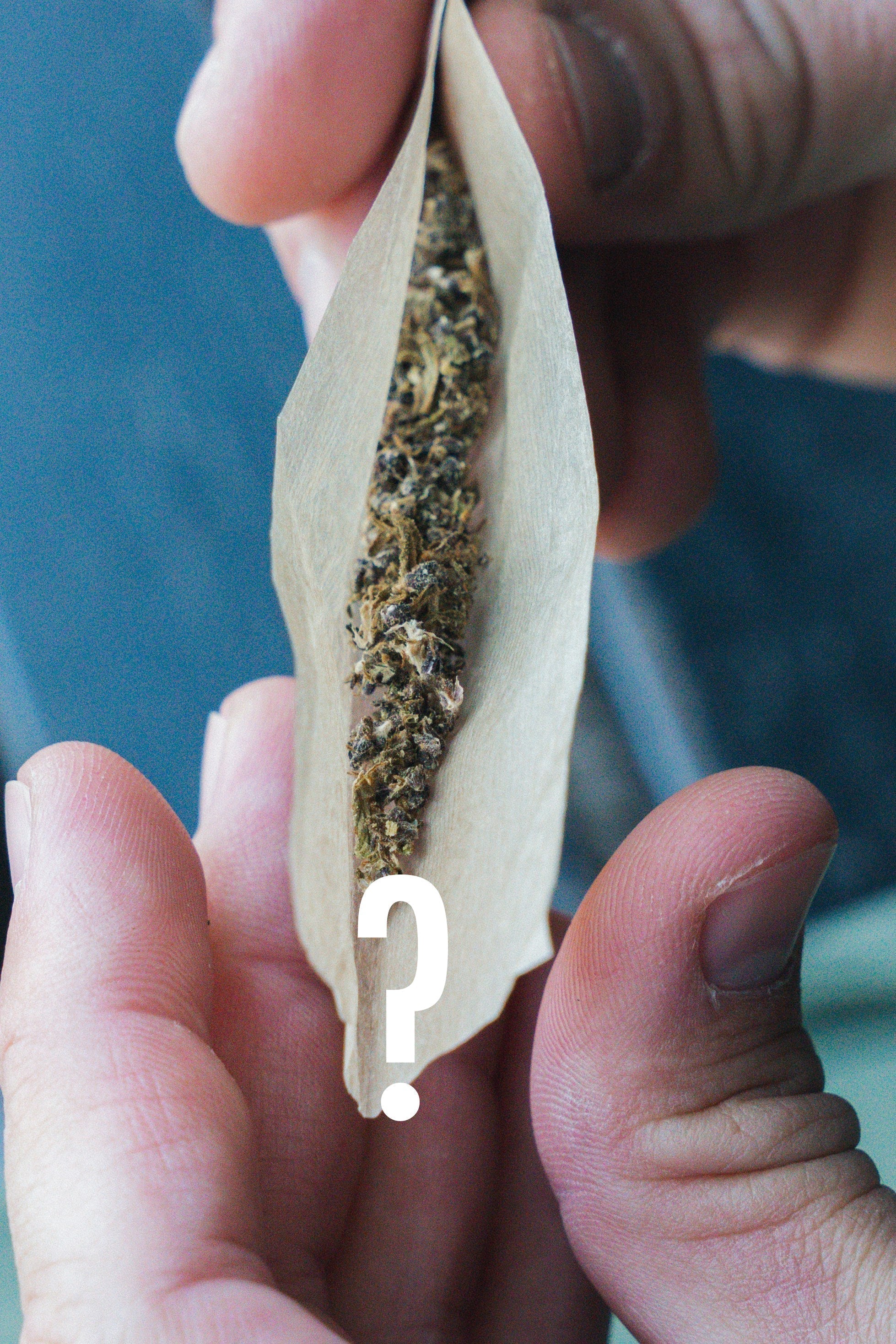 Der ultimative Guide zu Filtertips. Welcher ist der- richtige fur dich